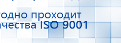 Электроды Скэнар -  двойной овал 55х90 мм купить в Майкопе, Электроды Скэнар купить в Майкопе, Скэнар официальный сайт - denasvertebra.ru