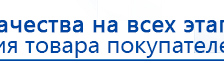 Электроды Скэнар -  двойной овал 55х90 мм купить в Майкопе, Электроды Скэнар купить в Майкопе, Скэнар официальный сайт - denasvertebra.ru